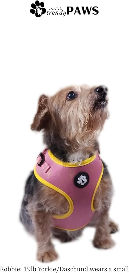 TrendyPaws Dog Harness, Collar and Leash Set, Breathable Mesh, S/M/L Sizes (Rose Gold, Large)