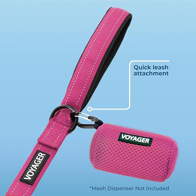 Best Pet Supplies Voyager Reflective Dog Leash or Collar with Neoprene Handle, for Small, Medium, and Large Breed Puppies, Cute and Heavy Duty for Walking, Running and Training - Fuchsia (Leash), M