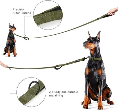 Plutus Pet Double Handle Dog Leash 5ft, Heavy Duty, Reflective Dual Handle Dog Leash for Safety Training, for Medium Large Dogs,2 Handle Leads, Ranger Green