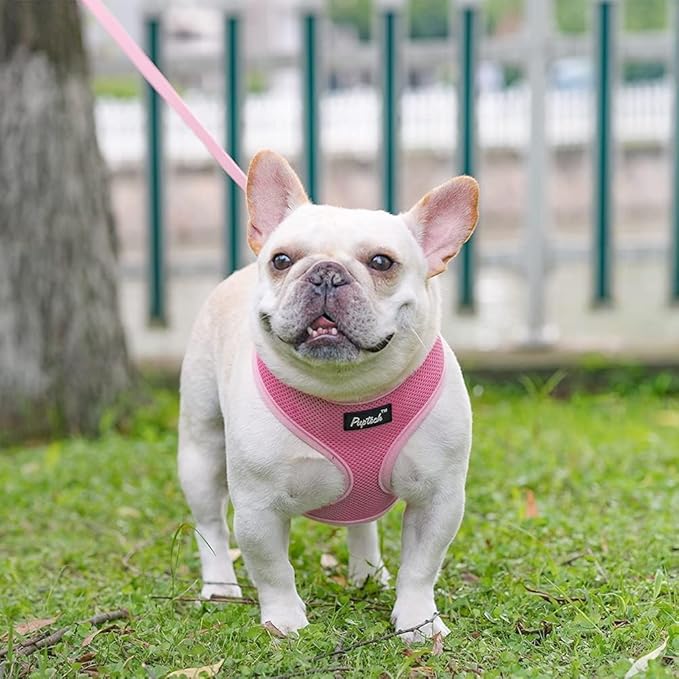 PUPTECK Soft Mesh Dog Harness and Leash Set Pet Puppy Cat Comfort Padded Vest No Pull Harnesses, Solid Pink, L
