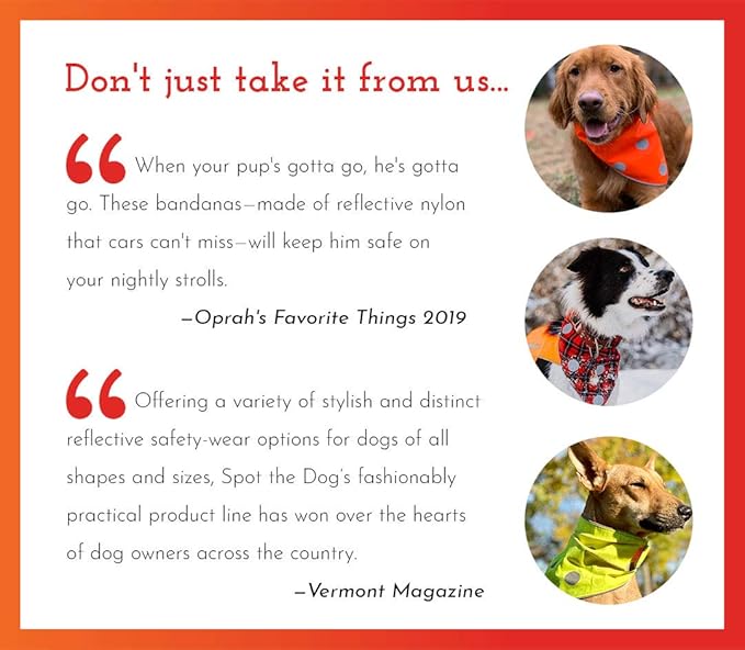 SPOT THE DOG! Reflective Dog Collar - Adjustable Pet Collars, Safe, Durable, Comfortable Dog Walking Accessories for Large Dog, Hunting Dog, Puppy, Lightweight Boy, Girl Dog Collars (Blaze Orange, L)