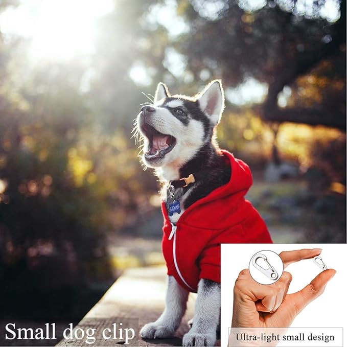 Dog Tag Clips / 2 Pack/Multiple Size 304 Stainless Steel Quick Clip with Rings/Easy Change Dog Cat ID Tag Holder for Small pet Collars and Harnesses.(2 Small Silver)