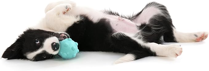 Playology Dog Toys | Puppy Toy Teething Ball Designed for Young & Active Dogs | Medium Peanut Butter Scented Toy Made from Non Toxic Materials