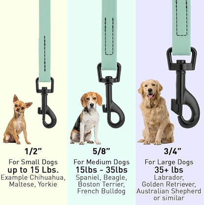 Dogline Biothane Waterproof Dog Leash Strong Coated Nylon Webbing with Black Hardware Odor-Proof Easy to Clean High Performance for Small or Large Dogs Made in USA 4 or 6 ft Lead, Sage Green