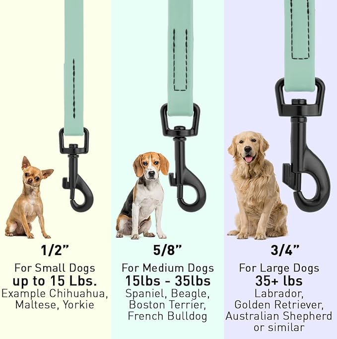 Dogline Biothane Waterproof Dog Leash Strong Coated Nylon Webbing with Black Hardware Odor-Proof Easy to Clean High Performance for Small or Large Dogs Made in USA 4 or 6 ft Lead, Sage Green