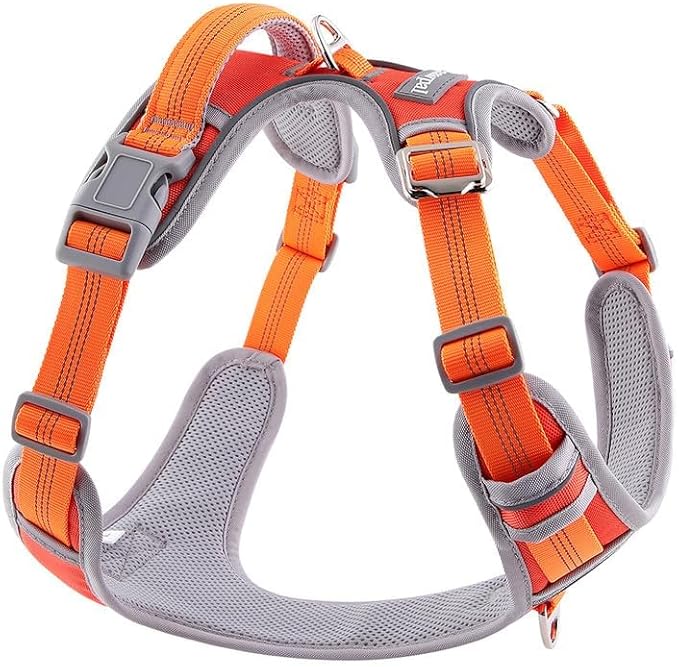 Paawpal Adjustable Dog Harness - No Pull, Reflective, Soft Padded for Small, Medium, Large Dogs - Includes Leash Orange XL