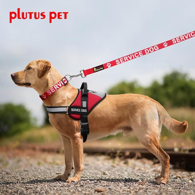 Plutus Pet Service Dog Leash with Soft Neoprene Padded Handle,Printed in Large Letters on Both Sides,4ft Long，Red，3/4" Wide for Medium Dogs