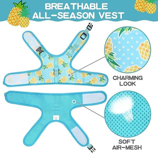 BINGPET Cat Harness with Leash Escape Proof - Fashionable Mesh Cat Dog Walking Harness Leads, Adjustable for Kitties Puppies Small Animals