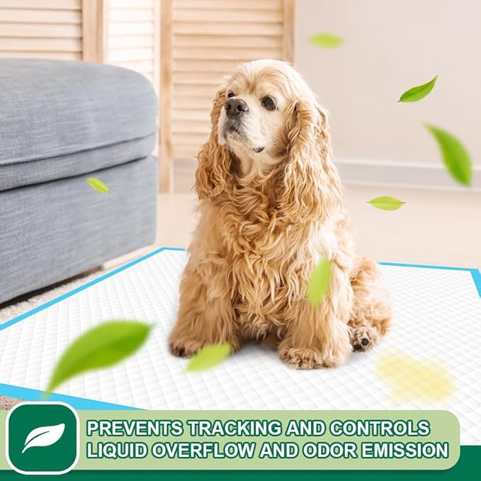 IMMCUTE Puppy Pads 22"x23" 100 Count | 6-Layer Leak-Proof & Super Absorbent Dog Training Pads | Disposable Potty Pads for Puppies, Dogs, Cats & Rabbits | Blue & White