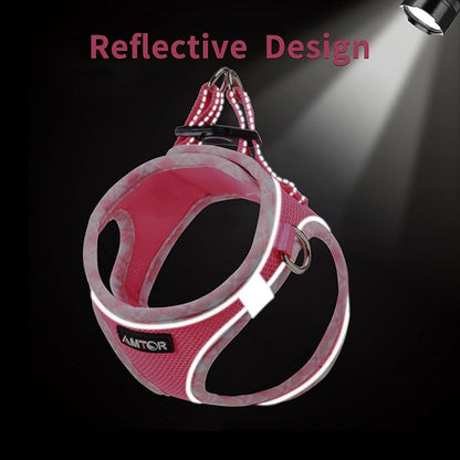 AMTOR Small Dog Harness with Leash Set, No Escape Easy Walk Puppy Harnesses for Training Walking, Step-in Reflective Soft Dogs Vest for XS S Medium Extra-Small Large Sized Dog(Fuchsia,L)