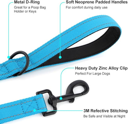 Heavy Duty Double Handle Dog Leash 6 ft Long for Total Control, Padded 2 Handle, Reflective Training Lead for Medium Large Dogs (Sky Blue, 6 FT)