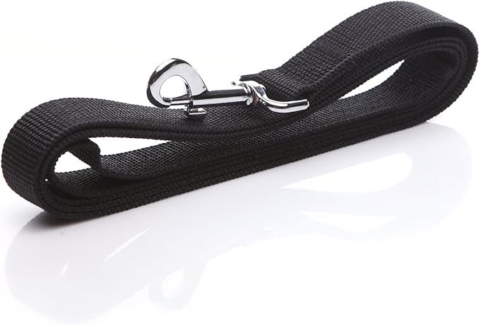 Nylon Dog Leash 4 Ft 5 Feet 6 Foot Long, Walking Training Dog Leashes for Medium Large Dogs, 1 Inch Wide(6ft,Black)
