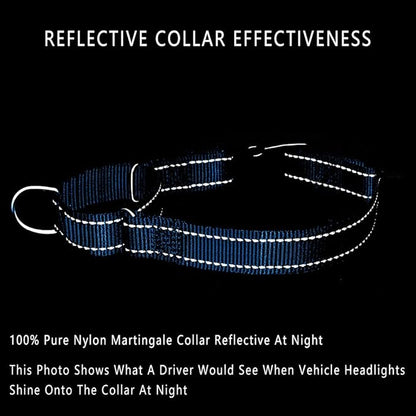 PLUTUS PET Reflective Martingale Collar with Quick Snap Buckle,No Pull Dog Choker Collar for Small Medium Large Dogs,L,Blue