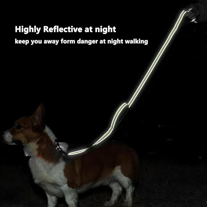 6 FT Dog Leash with 2 Padded Handle Nylon Reflective Dogs Leashes for Small Medium Large Dogs Green