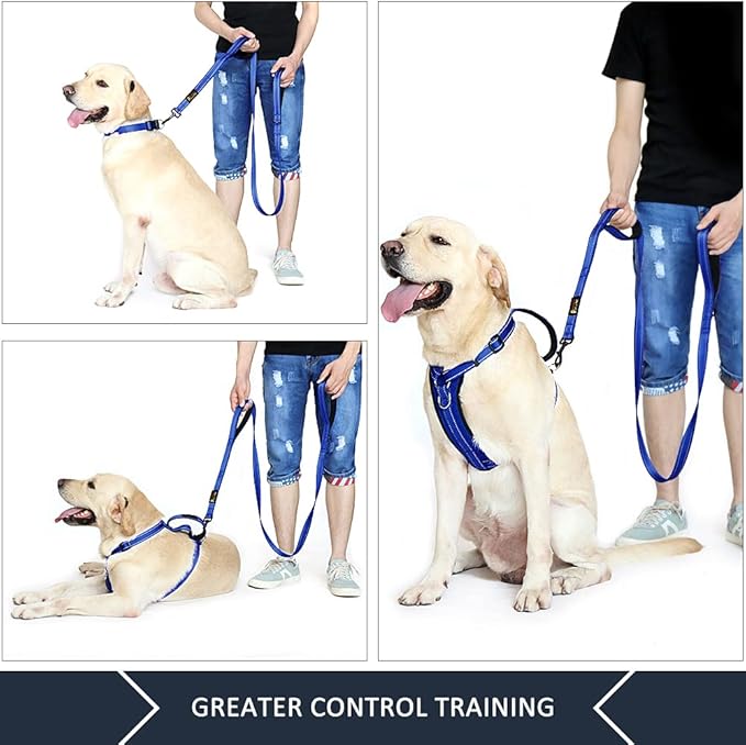 Plutus Pet Dog Leash 6ft Long,Traffic Padded Two Handle,Heavy Duty,Reflective Double Handles Lead for Control Safety Training,Leashes for Large Dogs or Medium Dogs,Dual Handles Leads(Navy Blue)