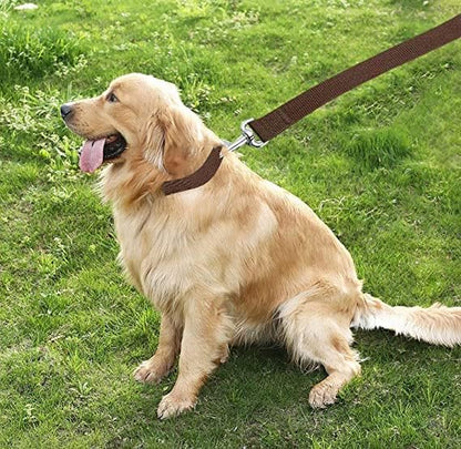 TAIAN 4FT/5FT/6FT Strong Dog Leash, Nylon Dog Leashes for Small Medium Large Dogs (Brown, 1 in x 10 ft)