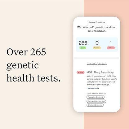 Wisdom Panel Premium Dog DNA Kit: Most Comprehensive with 265+ Health Tests, Identify 365+ Dog Breeds, 50+ Traits, Relatives, Ancestry, Genetic Diversity - Pack of 1