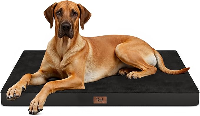 Tail Stories Flat Extra Large Dog Bed, Jumbo Waterproof Dog Bed for Large Dogs, Orthopedic Egg Crate Foam Pet Mat with Removable Washable Cover, Black