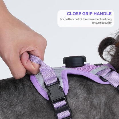 Cat Harness and Leash Set with AirTag Holder: Upgraded Escape Proof Vest with Lead for Small Dog Puppy Large Cat Walking，Soft Breathable Mesh Coat with Reflective Strip (Purple, XL)