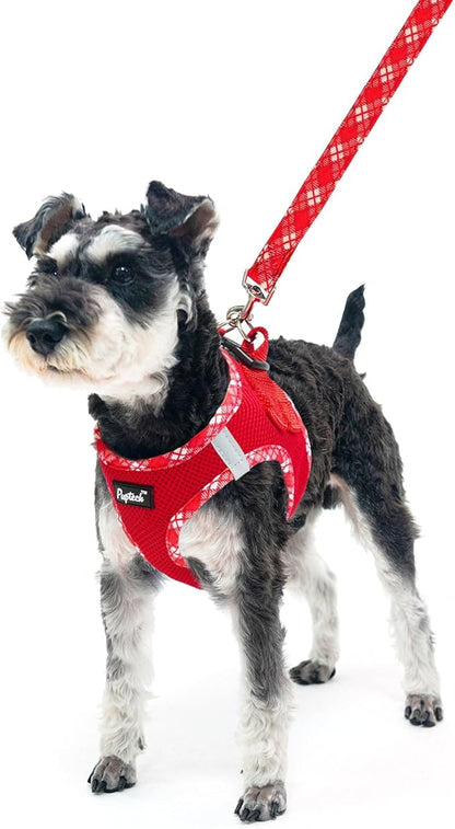 PUPTECK Dog Harness and Leash Set for Small Medium Dogs No Pull Step-in Soft Mesh Puppy Cat Vest Harnesses Reflective at Night, Red, L