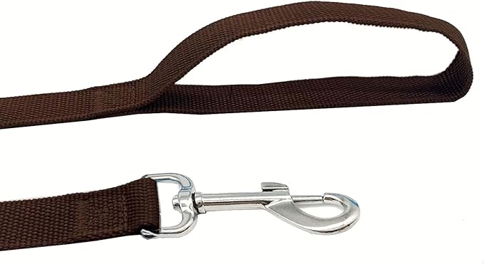 TAIAN 4FT/5FT/6FT Strong Dog Leash, Nylon Dog Leashes for Small Medium Large Dogs (1 in x 6 ft, Brown)