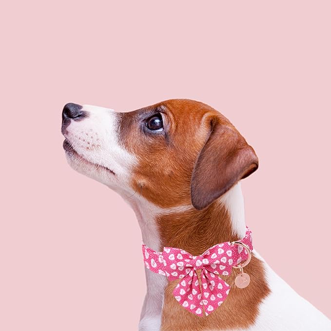 Valentine’s Dog Collar with Bow Tie, Pink Heart Bowtie Collar with Metal Buckle, Valentine’s Gift Pet Collar for Puppy Girl Boy Dog or Cat, Wedding Dog Collar, M