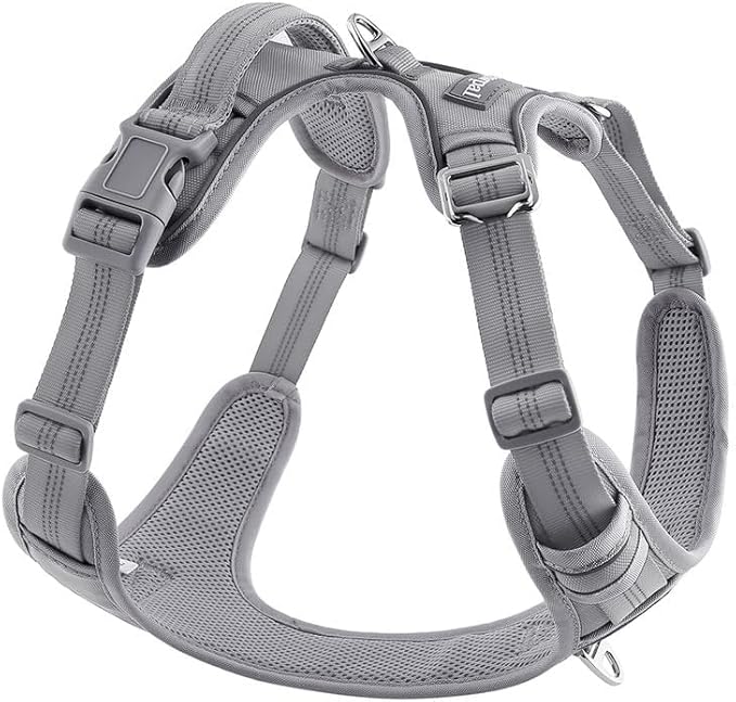 Paawpal Adjustable Dog Harness - No Pull, Reflective, Soft Padded for Small, Medium, Large Dogs - Includes Leash Light Silver L