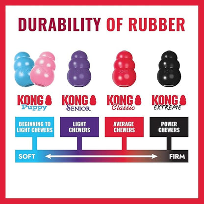 KONG Donut Dog Toy – Durable Natural Rubber Chew & Fetch Toy – Promotes Healthy Teeth & Gums, Fun Bounce & Roll, Gentle on Mouth (Medium/Large)
