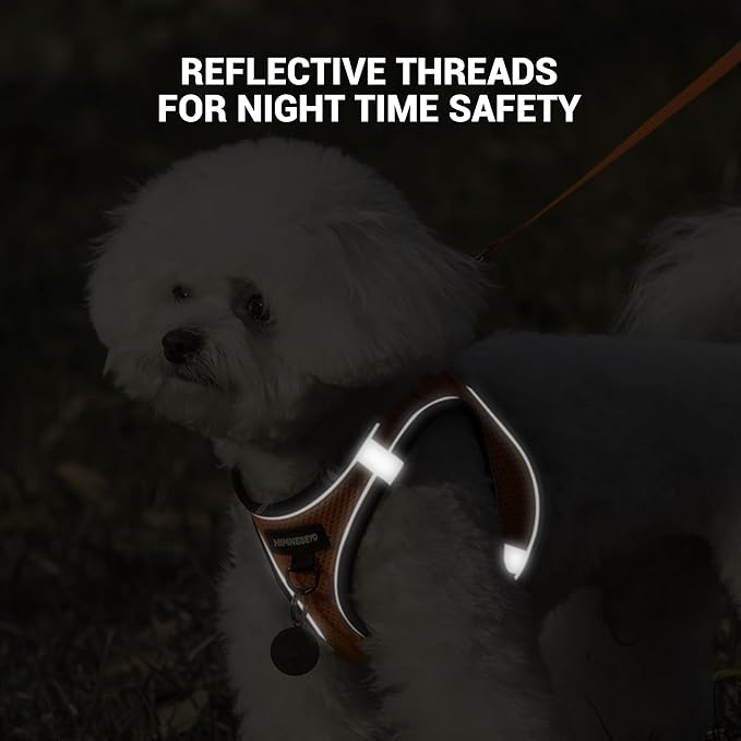 Dog Harness and Leash Set, Dog Harness for Dogs No Pull, No-Chock Step-in Reflective Breathable Lightweight Easy Walk Vest Harnesses with Safety Buckle for Small Medium Dogs, Cats (Orange, XXS)