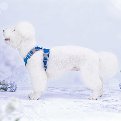 Small Dog Harness and Leash Set, No Pull Adjustable Pet Harness for Small Dogs, Breathable Mesh Rflective Dog Vest Harness (Blue, XXS)