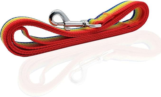 Nylon Dog Leash 8 Feet Long, Walking Training Dog Leashes for Medium Large Dogs(1" X 8 ft, Rainbow)
