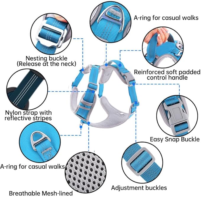 Paawpal Adjustable Dog Harness - No Pull, Reflective, Soft Padded for Small, Medium, Large Dogs - Includes Leash and Collar Turquoise L