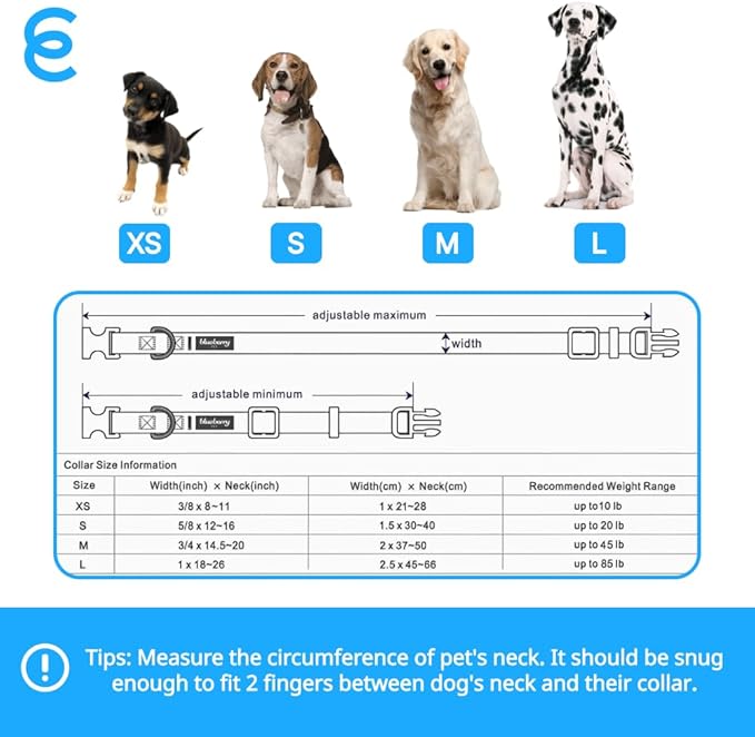 Blueberry Pet Essentials Matching Small Dog Collar | Adjustable Classic Solid Color Nylon Dog Collars for Small Dogs | Reflective Sky Blue Dog Collar for Small Dogs