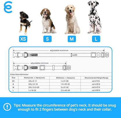Blueberry Pet Essentials Matching Small Dog Collar | Adjustable Classic Solid Color Nylon Dog Collars for Small Dogs | Reflective Sky Blue Dog Collar for Small Dogs