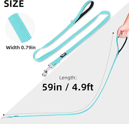 PUPTECK Reflective Dog Leash with Comfortable Padded Handle Durable Nylon Dog Lead for Small Medium and Large Dogs Cats Walking Running Training Outside, Light Blue