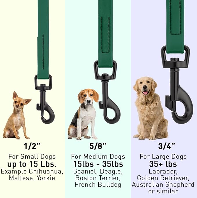 Dogline Biothane Waterproof Dog Leash Strong Coated Nylon Webbing with Black Hardware Odor-Proof Easy to Clean High Performance for Small or Large Dogs Made in USA 4 or 6 ft Lead, Hunter Green