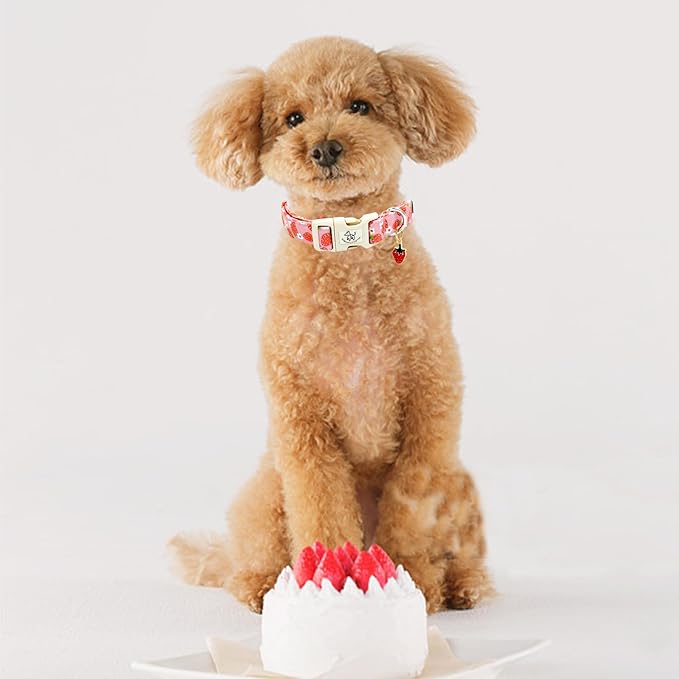 Elegant little tail Dog Collar, Strawberry Pattern Pet Collar Pink Durable Spring Female Spring Collar Adjustable Cotton Pet Collar with Quick Release Buckle for Large Dogs