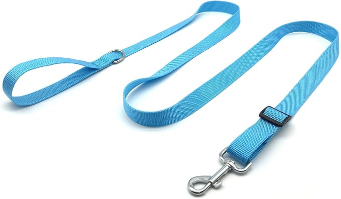 6FT/ 10FT Adjustable Dog Leash, Nylon Dog Leashes for Medium Large Dogs (6FT, Sky Blue)