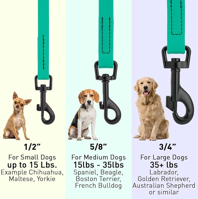 Dogline Biothane Waterproof Dog Leash Strong Coated Nylon Webbing with Black Hardware Odor-Proof Easy to Clean High Performance for Small or Large Dogs Made in USA 4 or 6 ft Lead, Teal