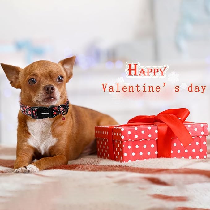 DOGWONG Valentine's Day Dog Collar, Red Heart Dog Collars Female or Male Adjustable Cotton Pet Collar with Quick Release Buckle for Small Medium Large Dogs,XS