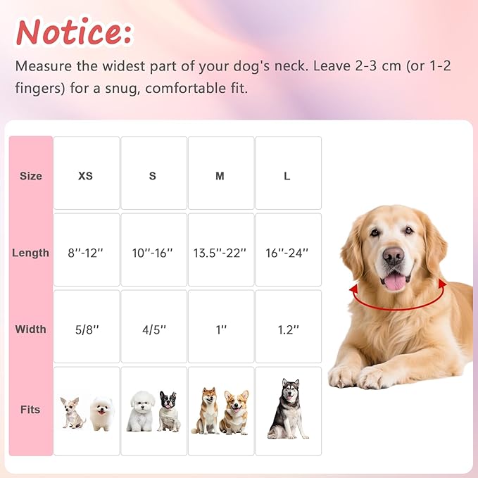 Dog Collar with Pink Cherry Blossom Patterns, Spring Summer Collection Dog Collar with Exquisite Pendant, Durable Adjustable Collars for Gifts & Daily Use-M