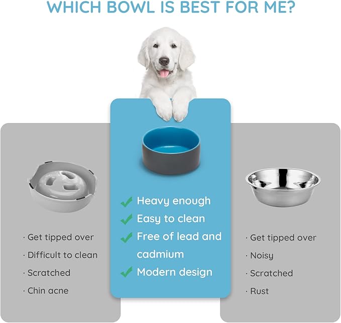 SPUNKYJUNKY 13.5OZ Ceramic Dog and Cat Bowl, Modern Cute Weighted Food Water Bowl for Replacement Blue-Grey (1 Pack)