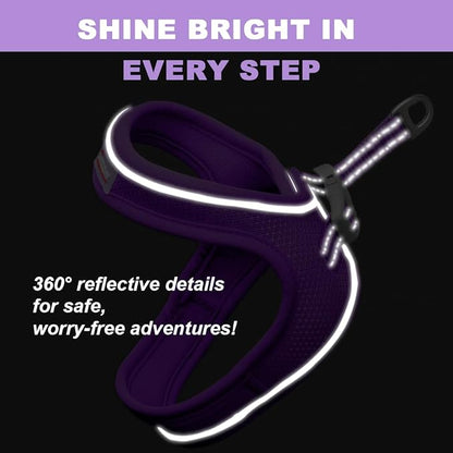 Cat Harness and Leash Set,Escape Proof Kitten Harness,Step in Adjustable Soft Lightweight,Easy Control,Reflective Strips Comfortable for Walking Travel(Purple,XXXS)
