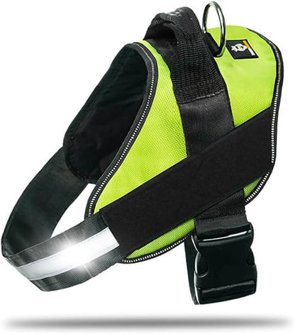 DOGGYKINGDOM Non Pull Dog Harness with Patch Panels and Handle, Adjustable, Reflective, No Choke, Heavy Duty Easy On Service Dog Vest Harnesses for Medium Large Small Sized Dogs - Green, XL