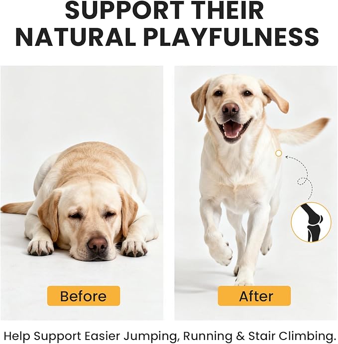 Furry Armor Dog Hip and Joint Supplement with Glucosamine & Chondroitin - Supports Mobility & Pain Relief for Senior & Large Dogs - 180 Soft Chews