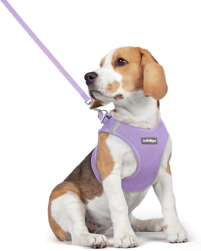 rabbitgoo Dog Harness Small Medium Sized and Leash Set, Step in Soft Light Puppy Vest, Breathable Mesh Pet Harness, Reflective for Safe Easy Walking, Light Purple L