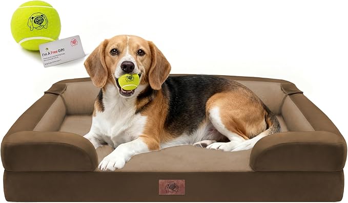 Orthopedic Dog Beds for Large Medium Dogs, Big Waterproof Memory Foam Pet Couch Bed with Removable Washable Cover, Tennis Ball Toy, 36x27