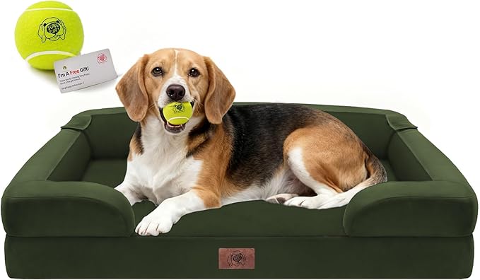 Orthopedic Dog Beds for Large Medium Dogs, Big Waterproof Memory Foam Pet Couch Bed with Removable Washable Cover, Tennis Ball Toy, 36x27
