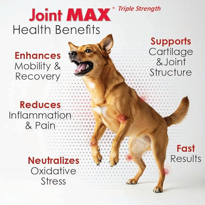 Joint Max TS Joint Supplement Vet Formulated Pain & Inflammation Relief Treats Hip Dysplasia & Arthritis, Glucosamine, Chondroitin, Turmeric, MSM, HA, Creatine, Omega 3 EPA + DHA.120 Soft Chews
