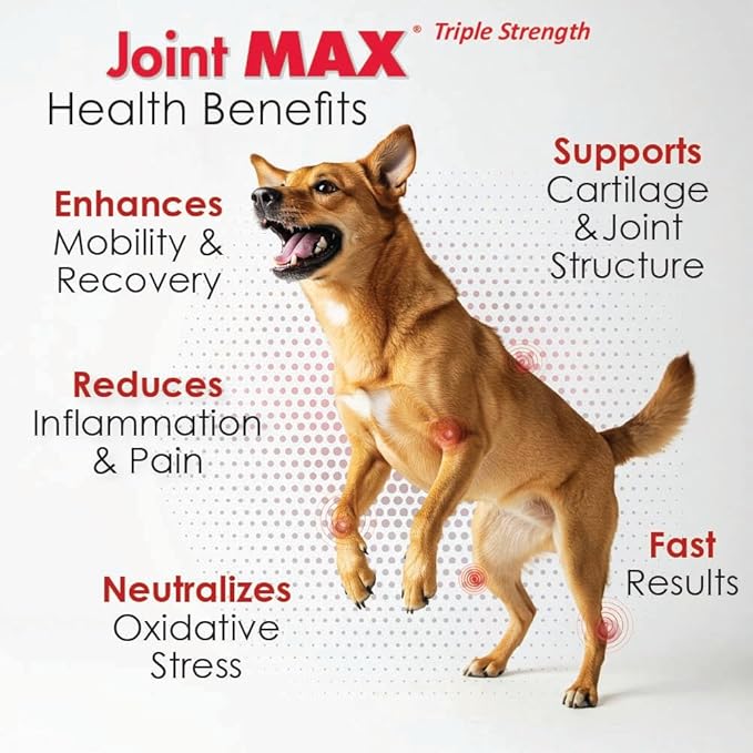 Joint MAX TS Joint Supplement Vet Formulated Pain & Inflammation Relief Treats Hip Dysplasia & Arthritis.Glucosamine, Chondroitin, Turmeric, MSM, HA, Creatine, Omega 3 EPA+DHA. All Dogs 240 Soft Chews